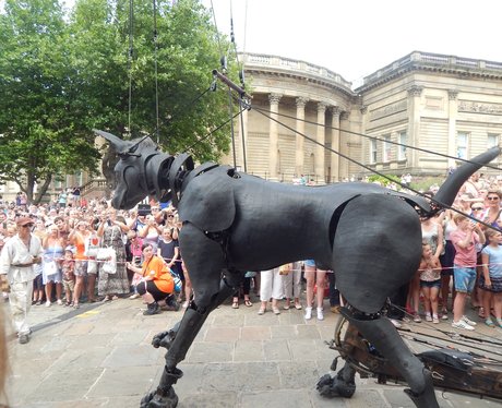 Heart Angels: Liverpool Giants 26th July 2014 Part