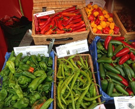 Chilli Fiesta 9th August Day 2