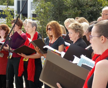 Johnsons' Mini Summer Festival With Heart