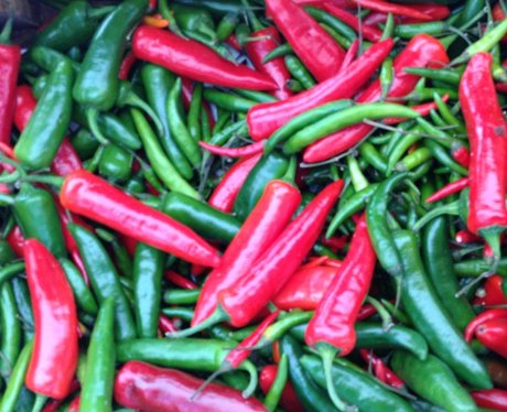 Chilli Fiesta - 10th August