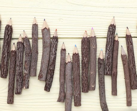 Back To School Tree trunk pencils