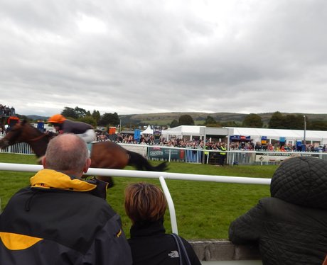 Heart Angels: Cartmel Race Course 25th August