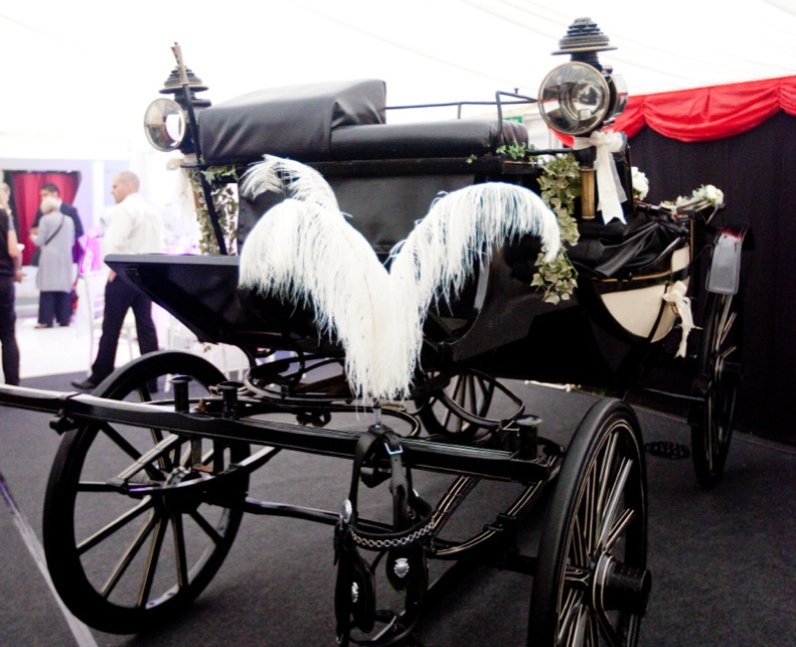 Heart Angels: Heart Wedding Show Part Two