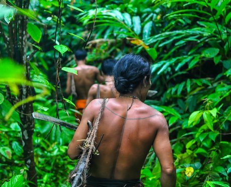 Men walking through the jungle