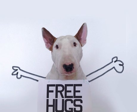 Cutest Pictures Of The Week