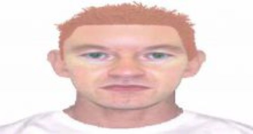 efit released by Wiltshire Police investigating se