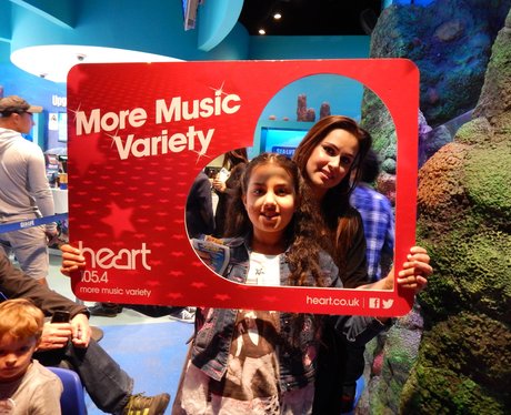 Heart Angels - Sealife 25th October