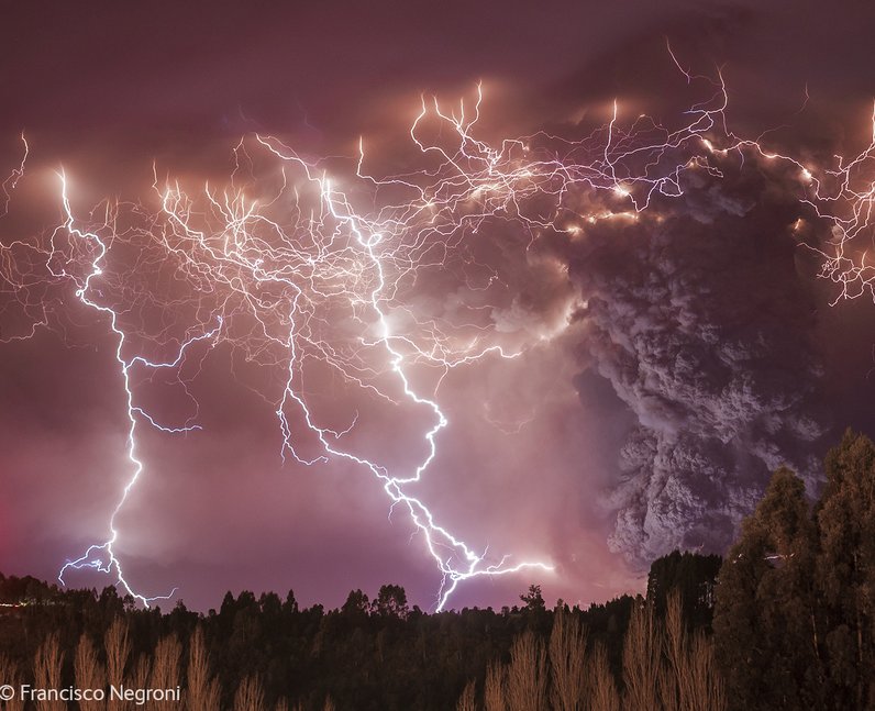 Wildlife Photographer of The Year 2014