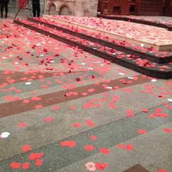 Poppies in Truro Cathedral
