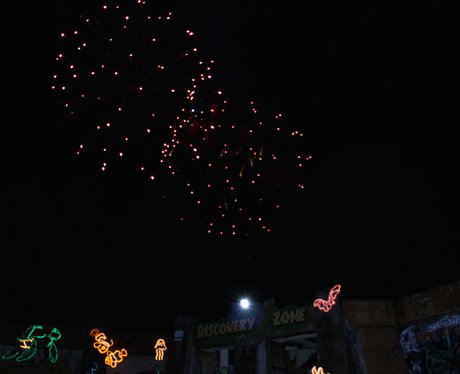 Safari Park Fireworks Day 1: Having a roaring time