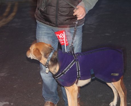 Heart Angels: Gloucester Christmas Parade (16th No