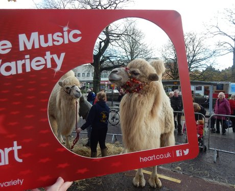 Heart Angels: Southport Christmas Lights Switch On