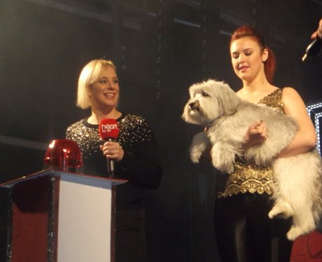 Heart Angels: Swindon Christmas Light Switch On (T