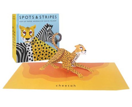 British Library Spots And Stripes Pop-Up Book