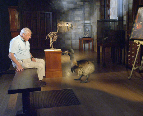 David Attenborough and a dodo