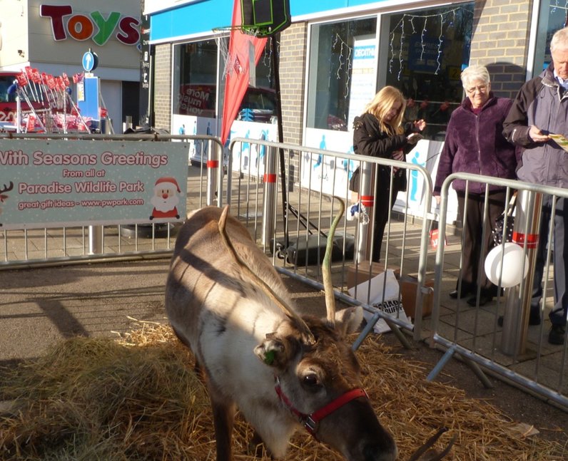 Decathlon Opening Harlow (13 December 2014)
