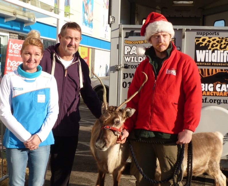 Decathlon Opening Harlow (13 December 2014)