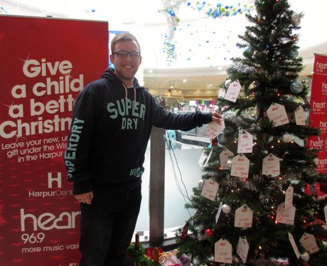 Harpur Centre Wishing Tree