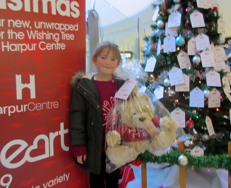 Harpur Centre Wishing Tree