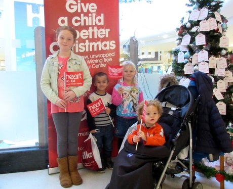 Harpur Centre Wishing Tree