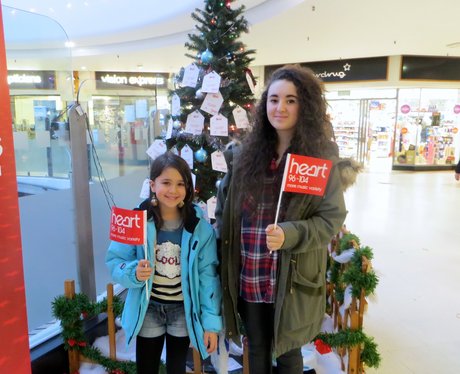 Harpur Centre Wishing Tree 2014