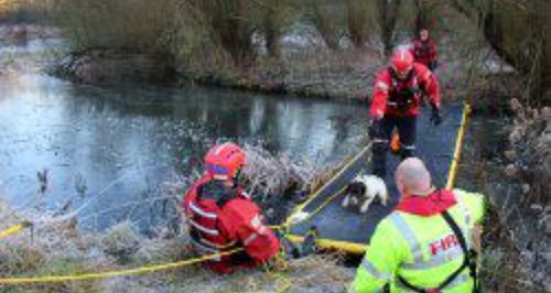 Avon firefighters rescue dog from frozen pond