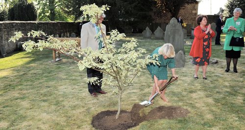 Duchess of Cornwall plants wedding tree in Tetbury