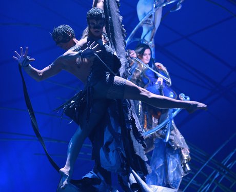Cirque Du Soleil Amaluna