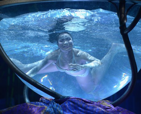 Cirque Du Soleil Amaluna