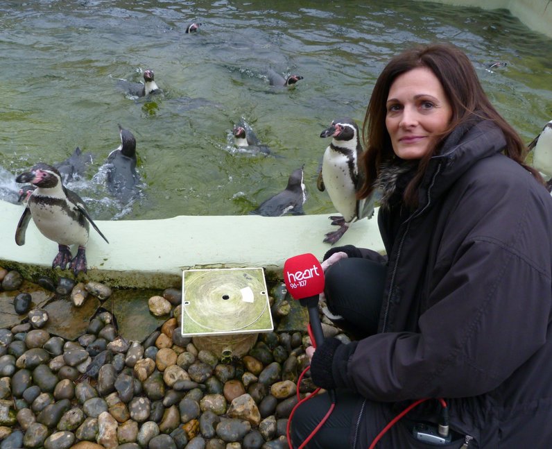 Ros feeds penguins