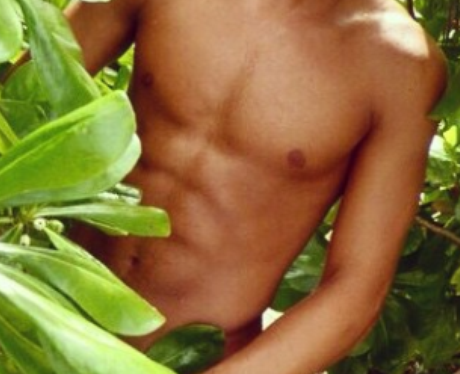 Guess the torso