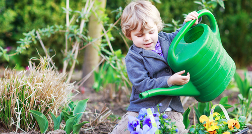 Little Boy Gardening