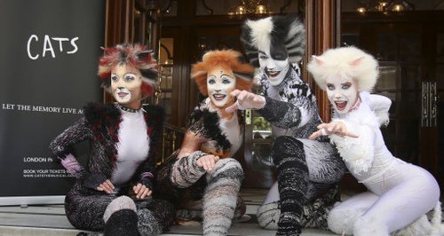 Cats