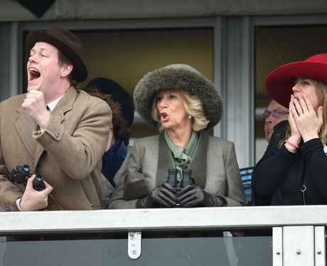 Celebs At Cheltenham
