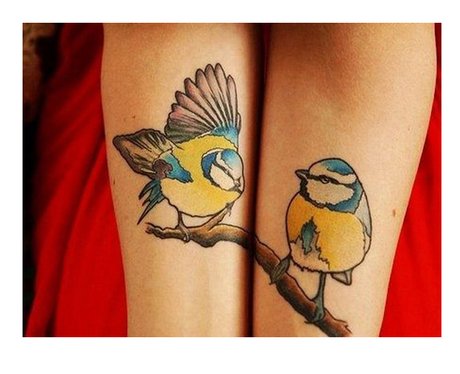 Winged Wonders Bird Tattoo Designs That Will Take Your Breath Away