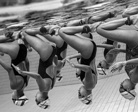 synchronised swimmers