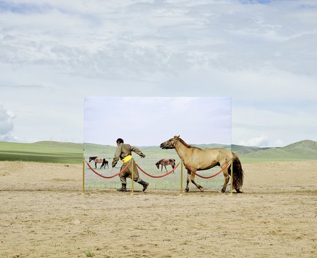 man with a horse