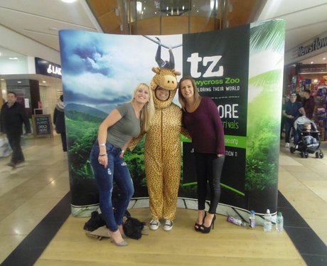 Twycross Zoo at Touchwood Thursday and Friday!