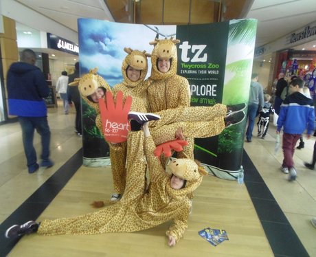 Twycross Zoo at Touchwood Thursday and Friday!