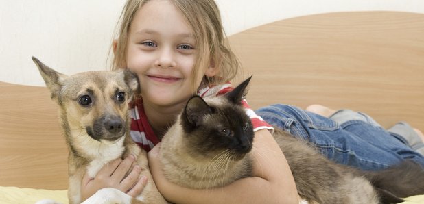 Cat and Dog Pets