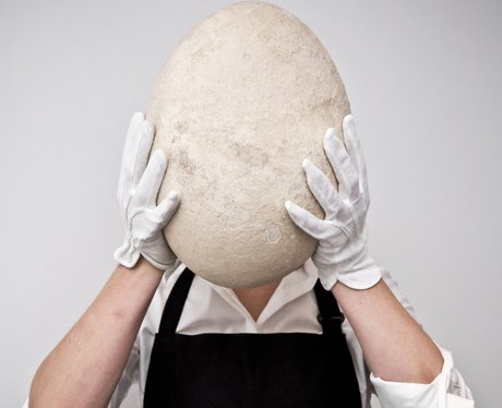 Elephant Bird Egg Auction at Sotheby's