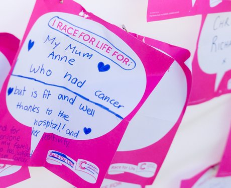 Race for Life Norwich 2015 Sat PM