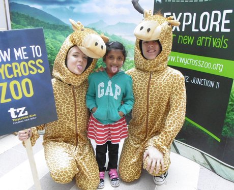 Twycross Zoo in West Orchards