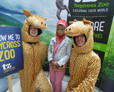 Twycross Zoo in West Orchards