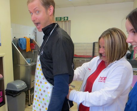 Stuart & Katy Try Work Experience!