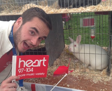 Day Three At The South Of England Show