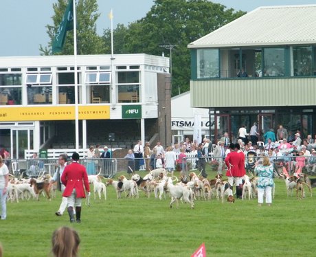 Day Two At The South Of England Show