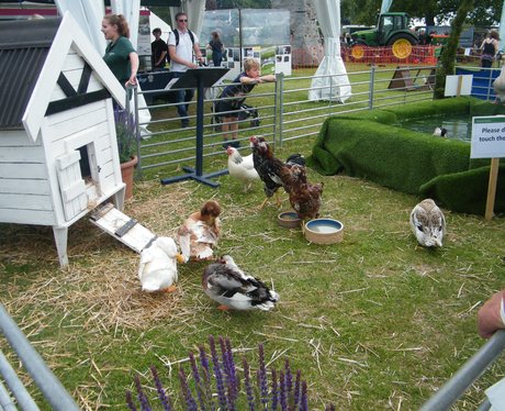 Day Two At The South Of England Show