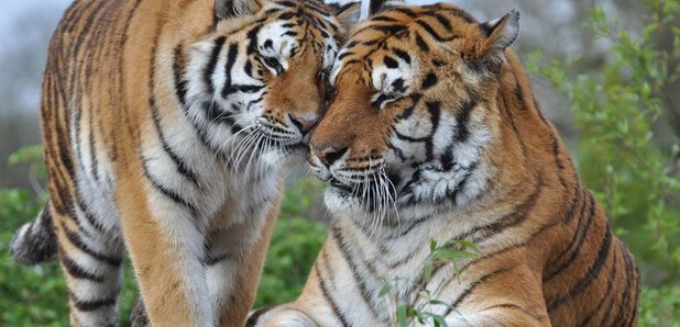 Paradise Wildlife Park