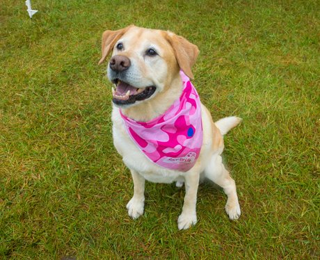 Pretty Muddy Ipswich 2015
